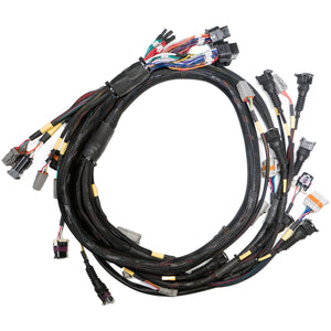 Link ECU - Terminated Engine Harness GM LS GEN3/4