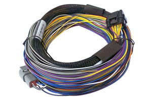 Haltech - Elite 550 2.5m Basic Universal Wire-In Harness