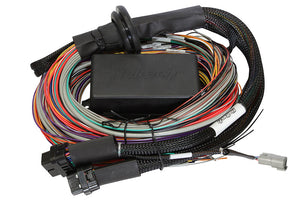 Haltech - Elite 2500/2500T 3m Premium Universal Wire-In Harness