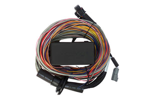 Haltech - Elite 550 + Premium Universal Wire-in Harness Kit Length: 2.5m (8')