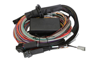 Haltech - Elite 1500 + Premium Universal Wire-in Harness Kit Length: 2.5m (8")