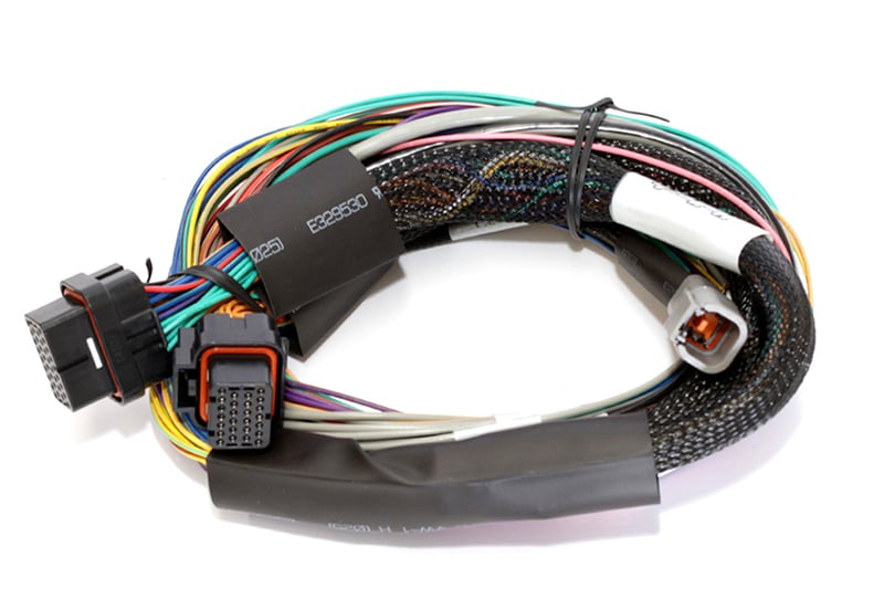 Haltech - Elite 2500 + Basic Universal Wire-in Harness Kit Length: 2.5m (8")