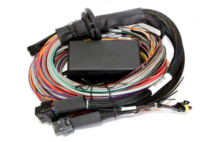 Haltech - Elite 2500 + Premium Universal Wire-in Harness Kit Length: 2.5m (8")