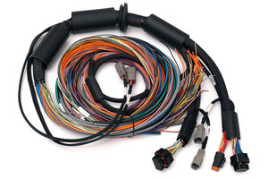 Haltech - Nexus R3 Universal Wire-in Harness - 2.5m (8')