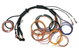 Haltech - Nexus R3 Universal Wire-in Harness - 2.5m (8')