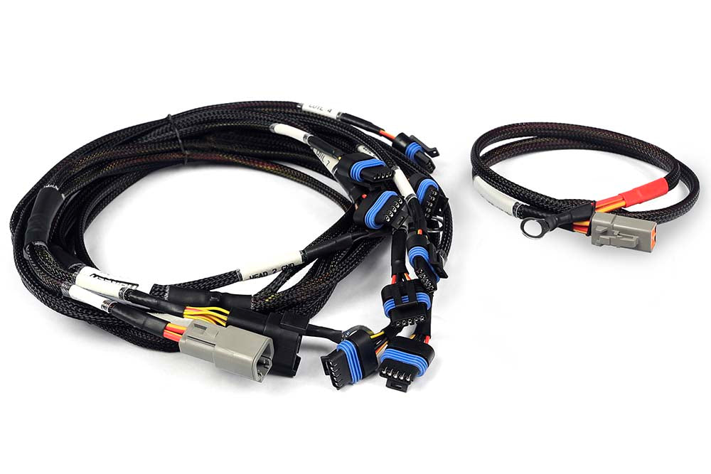 Haltech - Nexus V8 IGN-1A Ford Harness