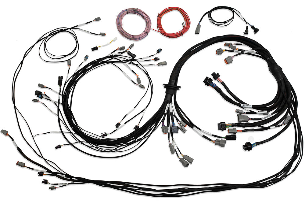 Haltech - Nexus R5 Universal V8 Terminated Engine Harness