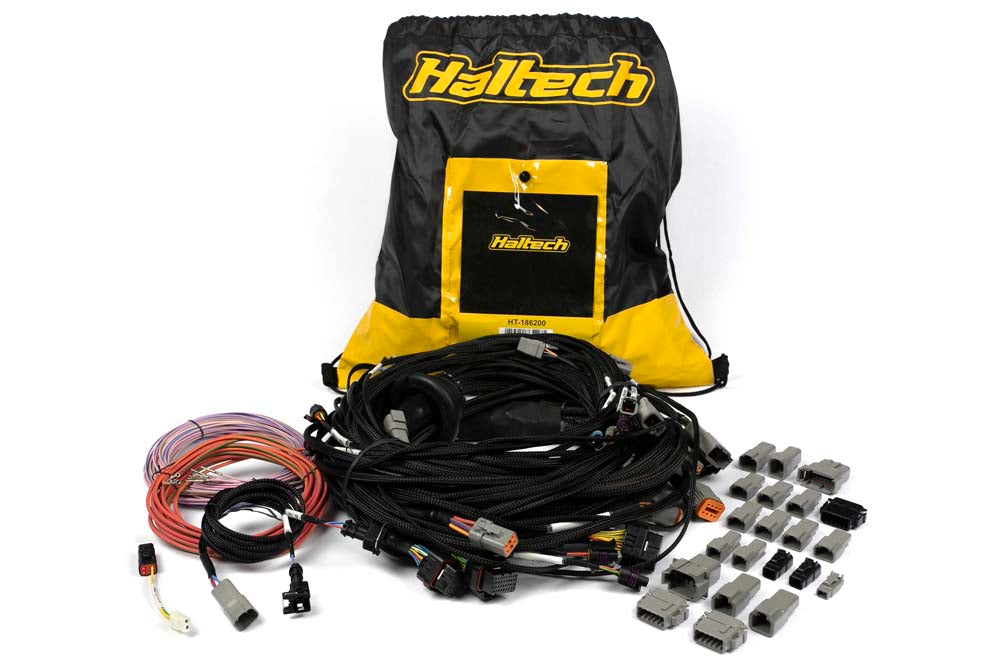 Haltech - Nexus R5 Universal V8 Terminated Engine Harness