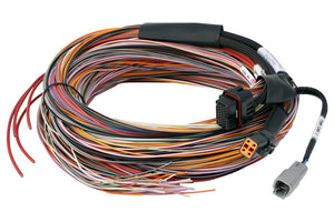 Haltech - PD16 Flying Lead Harness (Length: 5M/16FT)