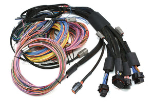 Haltech - NEXUS R5 + Universal Wire-in Harness Kit