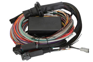 Haltech - Elite 1500 2.5m Premium Universal Wire-in Harness