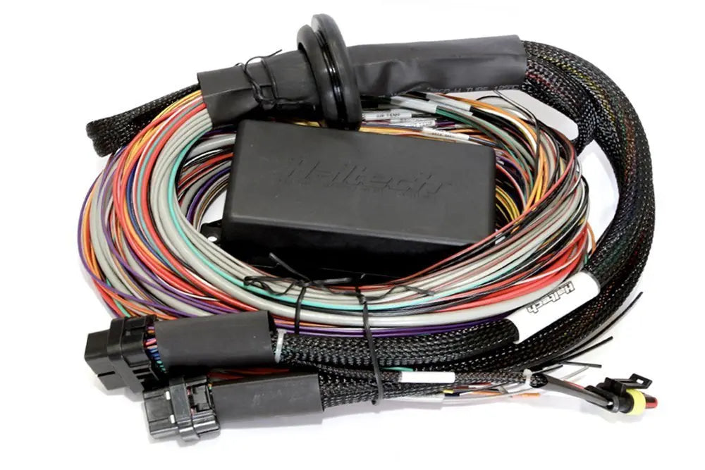 Haltech - Elite 2500 & 2500 T Premium Universal Wire In Harness 5.0m Only