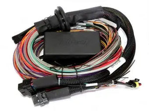 Haltech Elite 2500 & 2500 T Premium Universal Wire-in Harness Length: 2.5m (8')