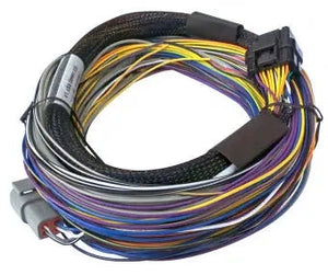 Haltech Elite 750 Basic Universal Wire-in Harness Length: 2.5m (8')