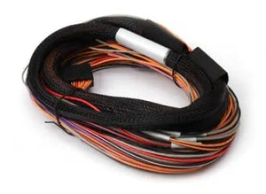 Haltech IO 12 Expander Flying Lead Harness Length: 2.5m (8')